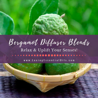 Bergamot Diffuser Blends - Relax and Uplift Your Senses! – Loving ...