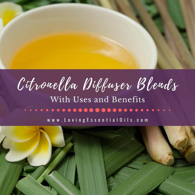 Citronella Diffuser Blends with Essential Oil Benefits - Repel Bugs ...