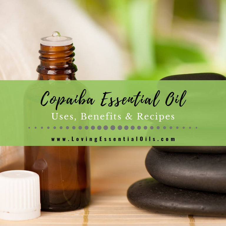 Copaiba Essential Oil Uses, Benefits And Recipes Spotlight – Loving ...