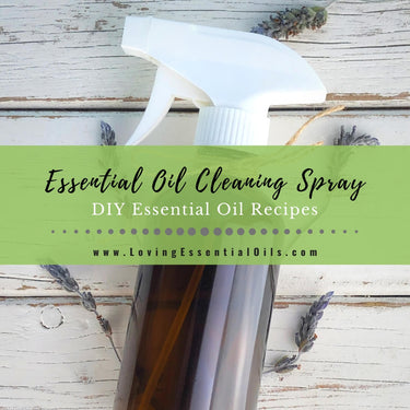 Disinfecting Spray With Essential Oils – Loving Essential Oils