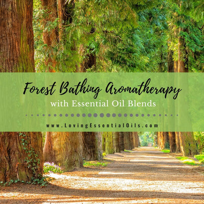 Forest Bathing Aromatherapy with Essential Oil Blends – Loving ...