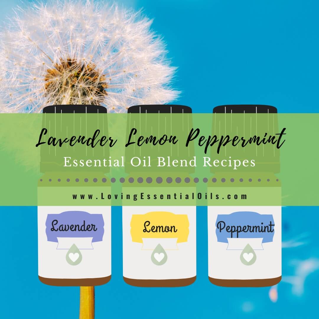 Lavender Lemon Peppermint Oil Blend Recipes - LLP Allergy – Loving ...