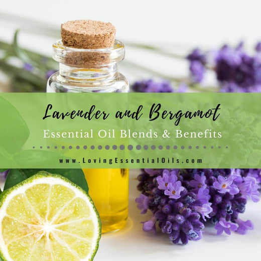 Lavender and Bergamot Benefits with Essential Oil Blend Recipes ...