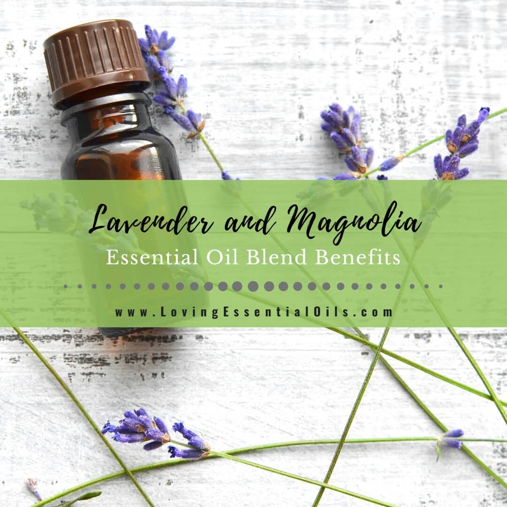 Lavender & Magnolia Essential Oil Blend- Soothing, Herbal & Delicious In A  Diffuser