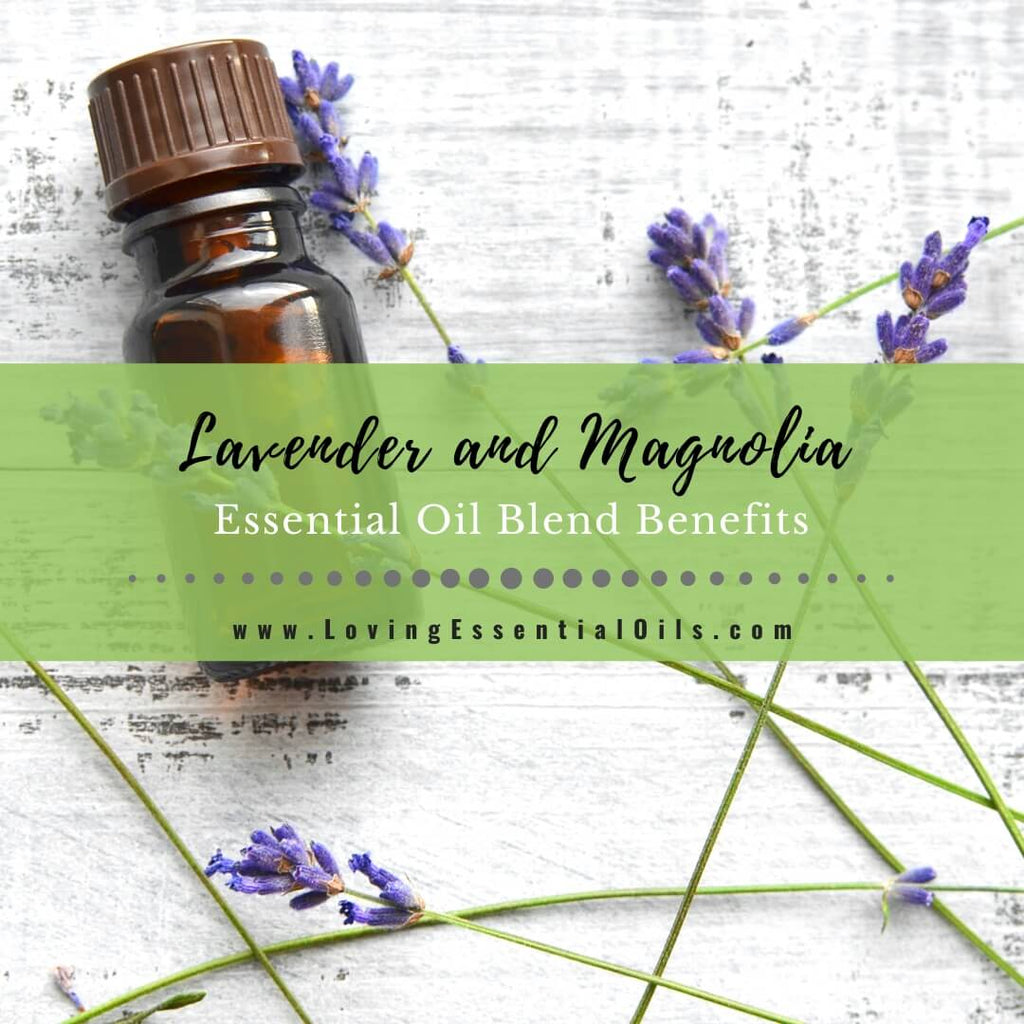 Lavender and Magnolia Essential Oil Blend Benefits – Loving Essential Oils