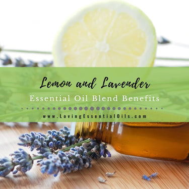 Lemon and Lavender Essential Oil Blend Benefits – Loving Essential Oils