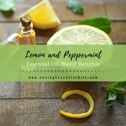 Lemon and Peppermint Essential Oil Blend Benefits – Loving Essential Oils