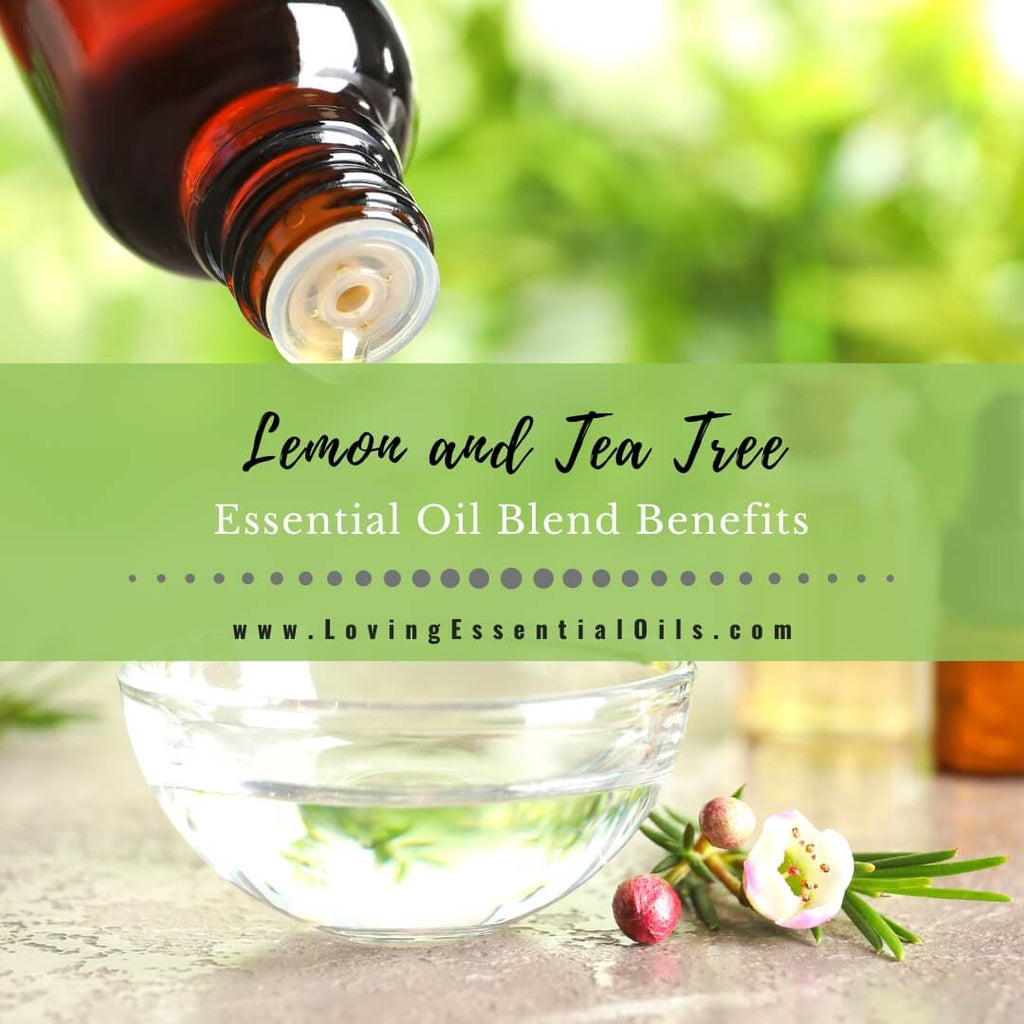 31 Health Benefits Of Tea Tree Oil And Its Side Effects