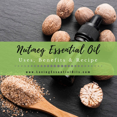 Nutmeg Essential Oil Uses, Benefits & Recipes - EO Spotlight – Loving ...