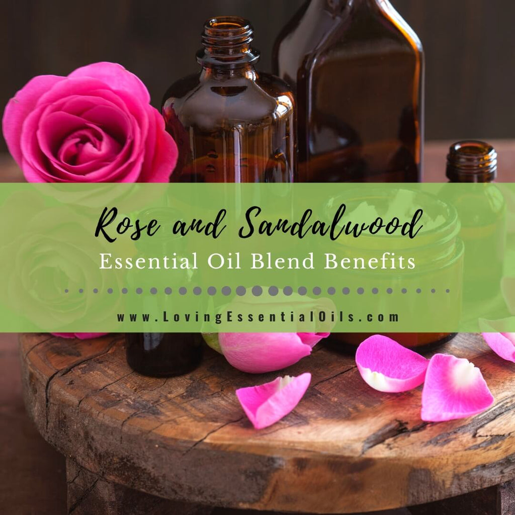 Rose and Sandalwood Essential Oil Blend Benefits with DIY – Loving ...