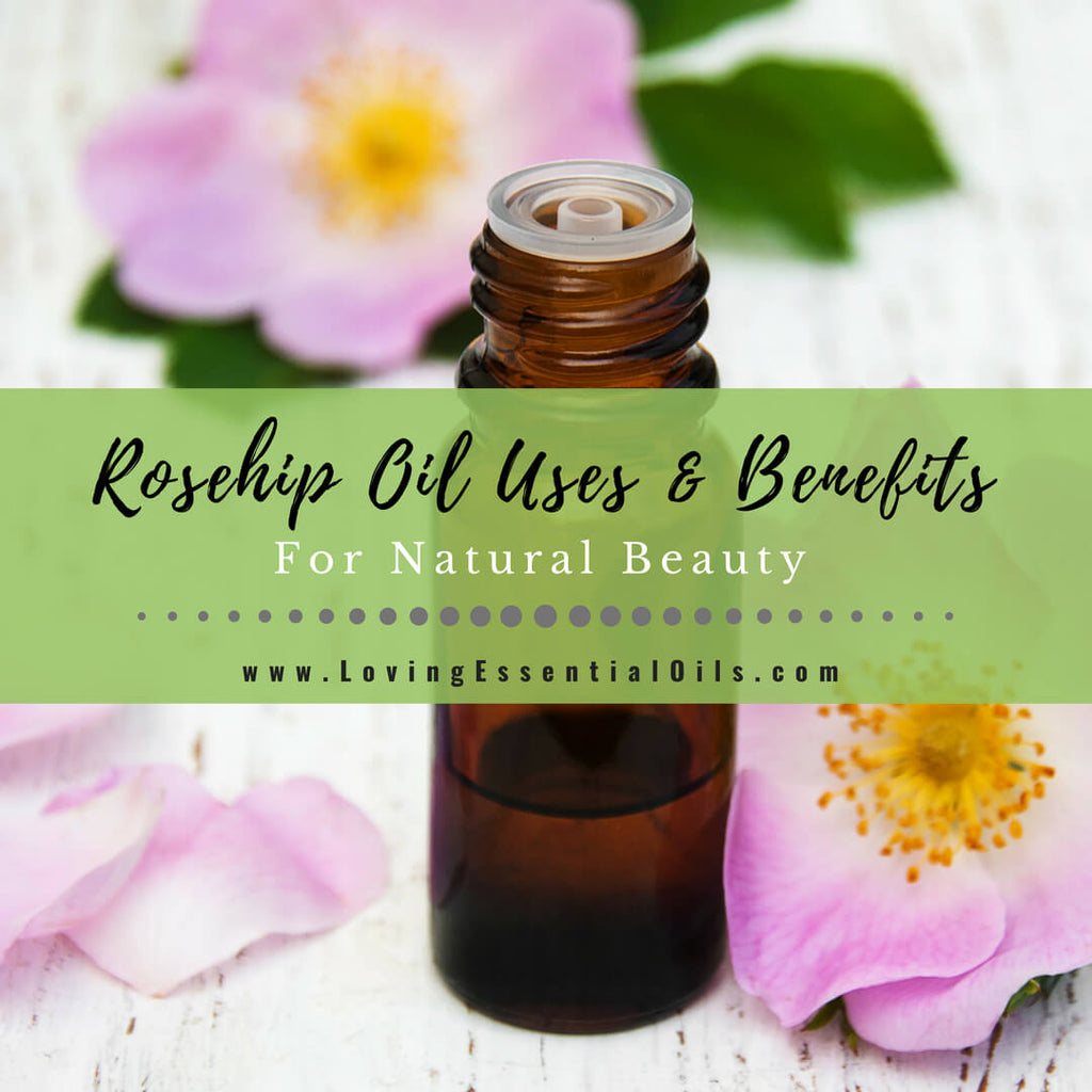 Rosehip Oil Uses and Benefits – Loving Essential Oils