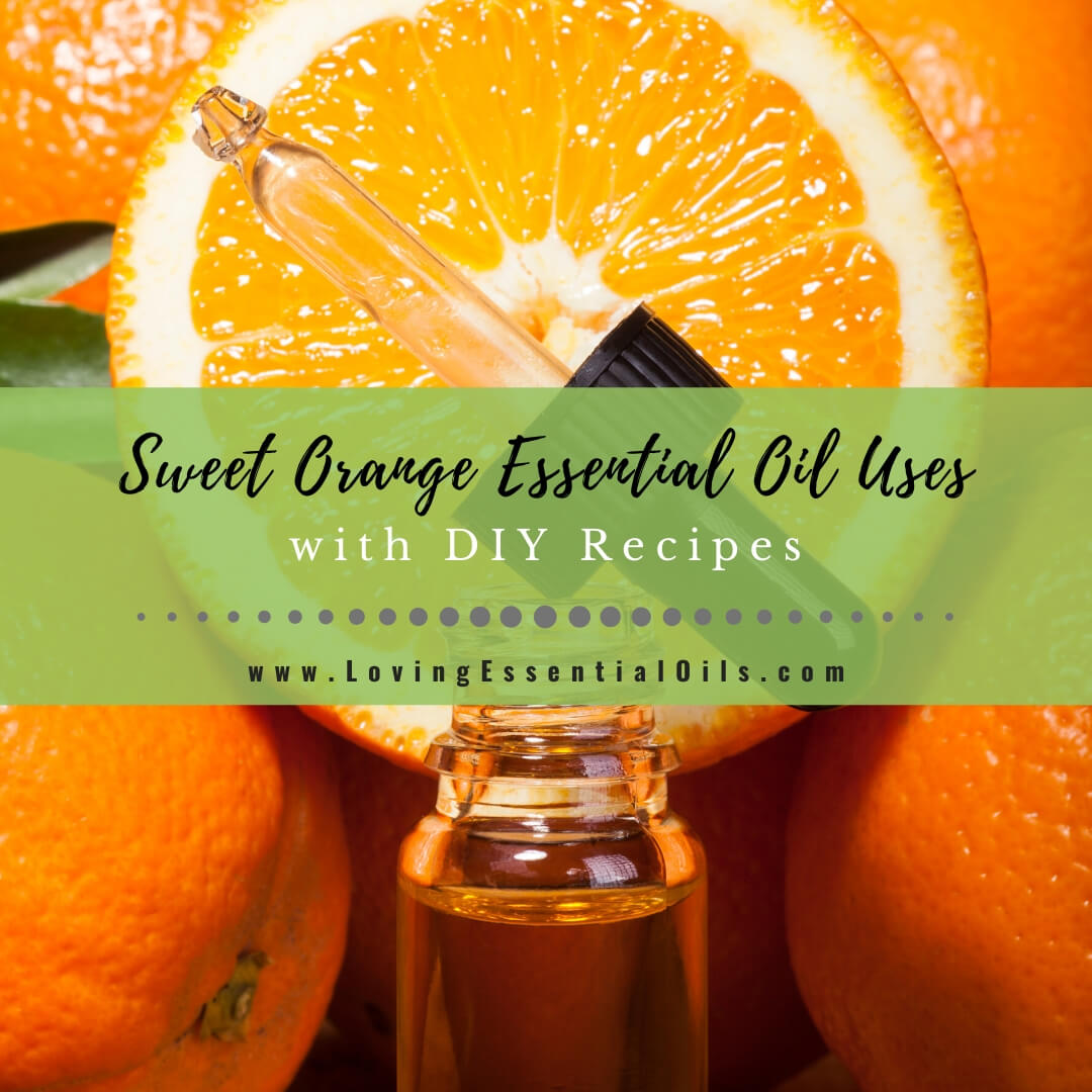 Sweet Orange Essential Oil Recipes, Uses And Benefits Spotlight ...