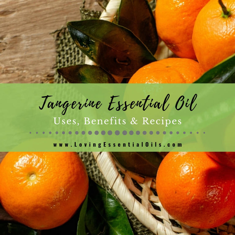 Tangerine Essential Oil Uses, Benefits and Recipes Spotlight Loving