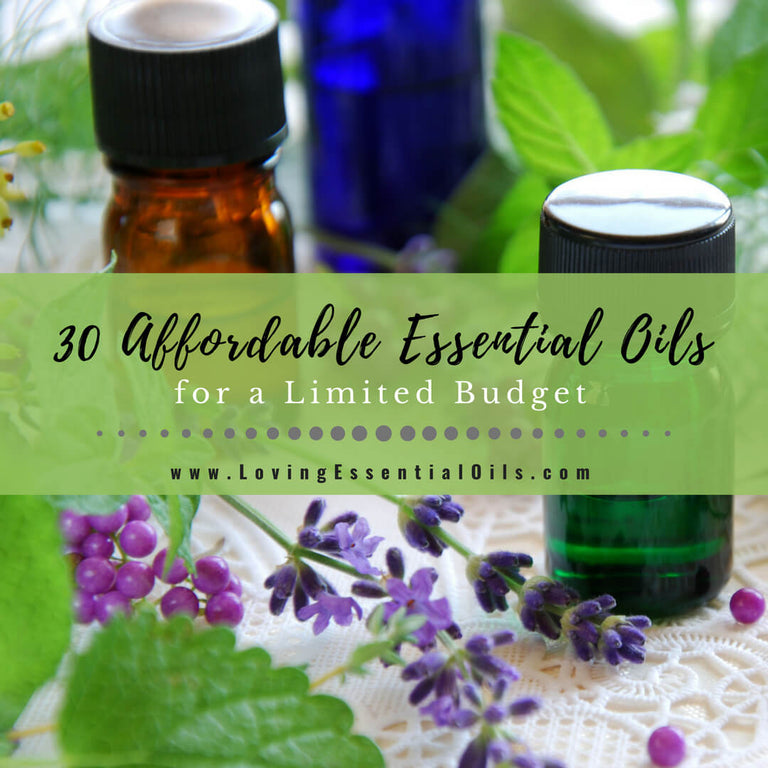 Top 30 Affordable Essential Oils for a Limited Budget – Loving ...