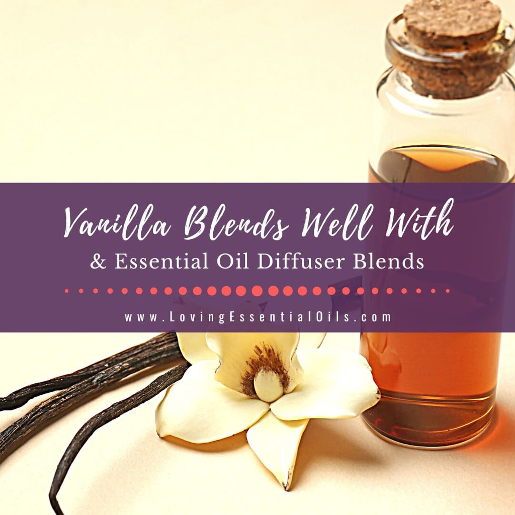 VANILLA ESSENTIAL OIL: HOW TO MAKE AND ITS BENEFITS AND USES  Vanilla  essential oil, Essential oils, Essential oil perfume