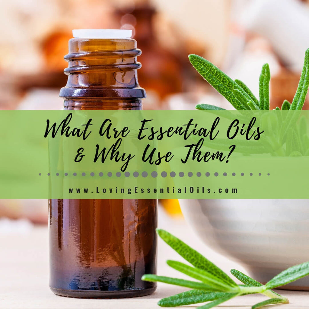 What Are Essential Oils and Why Use Them? – Loving Essential Oils