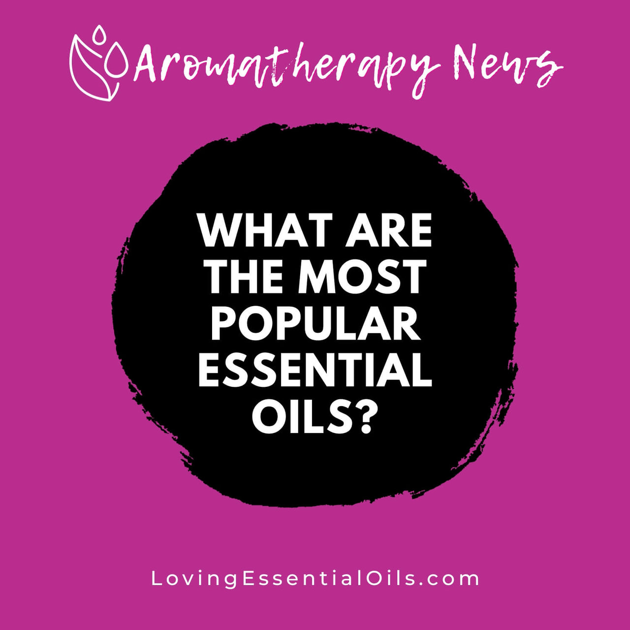 What Are The Most Popular Essential Oils Natures Aromatic Gems Loving Essential Oils 8986