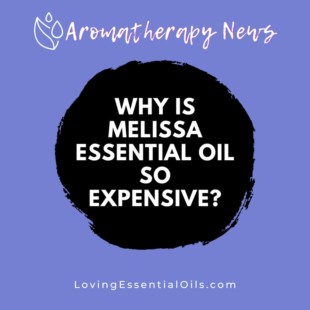 Why Is Melissa Essential Oil so Expensive? Loving Essential Oils