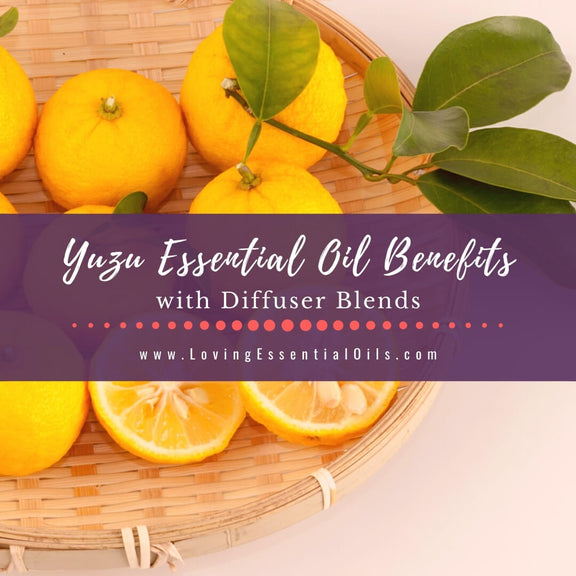 Yuzu Essential Oil Benefits and Diffuser Blend Recipes – Loving ...